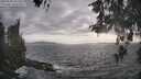 ./images/koeye/fitz-hugh/20260510/fitz-hugh20260510_181501M.jpg