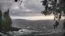 ./images/koeye/fitz-hugh/20260510/fitz-hugh20260510_183501M.jpg