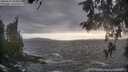 ./images/koeye/fitz-hugh/20260510/fitz-hugh20260510_185002M.jpg