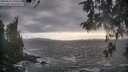 ./images/koeye/fitz-hugh/20260510/fitz-hugh20260510_190501M.jpg