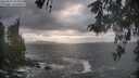 ./images/koeye/fitz-hugh/20260510/fitz-hugh20260510_194001M.jpg