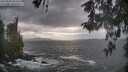 ./images/koeye/fitz-hugh/20260510/fitz-hugh20260510_194501M.jpg