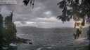 ./images/koeye/fitz-hugh/20260510/fitz-hugh20260510_195501M.jpg