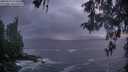 ./images/koeye/fitz-hugh/20260510/fitz-hugh20260510_213501M.jpg