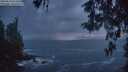 ./images/koeye/fitz-hugh/20260510/fitz-hugh20260510_214501M.jpg