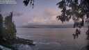 ./images/koeye/fitz-hugh/20260511/fitz-hugh20260511_053002M.jpg
