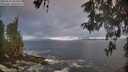 ./images/koeye/fitz-hugh/20260511/fitz-hugh20260511_063501M.jpg