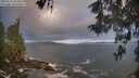 ./images/koeye/fitz-hugh/20260511/fitz-hugh20260511_065002M.jpg
