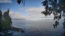 ./images/koeye/fitz-hugh/20260511/fitz-hugh20260511_074001M.jpg
