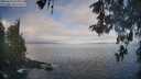 ./images/koeye/fitz-hugh/20260511/fitz-hugh20260511_074501M.jpg
