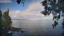 ./images/koeye/fitz-hugh/20260511/fitz-hugh20260511_075501M.jpg