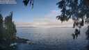 ./images/koeye/fitz-hugh/20260511/fitz-hugh20260511_081001M.jpg