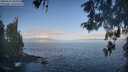 ./images/koeye/fitz-hugh/20260511/fitz-hugh20260511_083001M.jpg