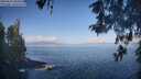 ./images/koeye/fitz-hugh/20260511/fitz-hugh20260511_084502M.jpg
