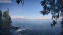 ./images/koeye/fitz-hugh/20260511/fitz-hugh20260511_085001M.jpg
