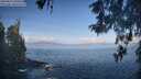 ./images/koeye/fitz-hugh/20260511/fitz-hugh20260511_090501M.jpg