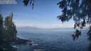 ./images/koeye/fitz-hugh/20260511/fitz-hugh20260511_091001M.jpg