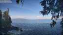 ./images/koeye/fitz-hugh/20260511/fitz-hugh20260511_092501M.jpg
