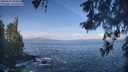 ./images/koeye/fitz-hugh/20260511/fitz-hugh20260511_094501M.jpg