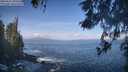 ./images/koeye/fitz-hugh/20260511/fitz-hugh20260511_095501M.jpg