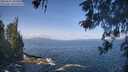 ./images/koeye/fitz-hugh/20260511/fitz-hugh20260511_102502M.jpg