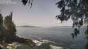 ./images/koeye/fitz-hugh/20260511/fitz-hugh20260511_120501M.jpg