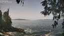 ./images/koeye/fitz-hugh/20260511/fitz-hugh20260511_121501M.jpg
