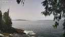 ./images/koeye/fitz-hugh/20260511/fitz-hugh20260511_124502M.jpg