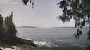./images/koeye/fitz-hugh/20260511/fitz-hugh20260511_125501M.jpg