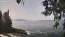 ./images/koeye/fitz-hugh/20260511/fitz-hugh20260511_130502M.jpg