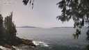 ./images/koeye/fitz-hugh/20260511/fitz-hugh20260511_131002M.jpg