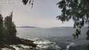 ./images/koeye/fitz-hugh/20260511/fitz-hugh20260511_133001M.jpg