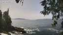 ./images/koeye/fitz-hugh/20260511/fitz-hugh20260511_133501M.jpg