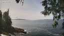 ./images/koeye/fitz-hugh/20260511/fitz-hugh20260511_134501M.jpg