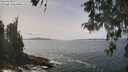 ./images/koeye/fitz-hugh/20260511/fitz-hugh20260511_135001M.jpg