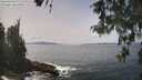 ./images/koeye/fitz-hugh/20260511/fitz-hugh20260511_135501M.jpg