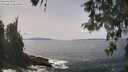 ./images/koeye/fitz-hugh/20260511/fitz-hugh20260511_140001M.jpg