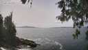 ./images/koeye/fitz-hugh/20260511/fitz-hugh20260511_141002M.jpg
