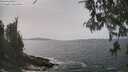 ./images/koeye/fitz-hugh/20260511/fitz-hugh20260511_144002M.jpg
