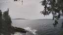./images/koeye/fitz-hugh/20260511/fitz-hugh20260511_153501M.jpg