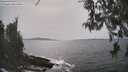 ./images/koeye/fitz-hugh/20260511/fitz-hugh20260511_155002M.jpg
