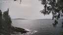 ./images/koeye/fitz-hugh/20260511/fitz-hugh20260511_155501M.jpg