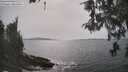 ./images/koeye/fitz-hugh/20260511/fitz-hugh20260511_160001M.jpg