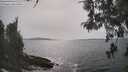 ./images/koeye/fitz-hugh/20260511/fitz-hugh20260511_160501M.jpg