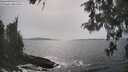 ./images/koeye/fitz-hugh/20260511/fitz-hugh20260511_161001M.jpg