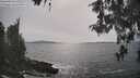 ./images/koeye/fitz-hugh/20260511/fitz-hugh20260511_162501M.jpg