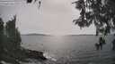 ./images/koeye/fitz-hugh/20260511/fitz-hugh20260511_163502M.jpg