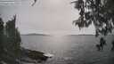 ./images/koeye/fitz-hugh/20260511/fitz-hugh20260511_164002M.jpg
