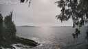 ./images/koeye/fitz-hugh/20260511/fitz-hugh20260511_164501M.jpg