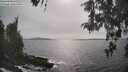 ./images/koeye/fitz-hugh/20260511/fitz-hugh20260511_165001M.jpg